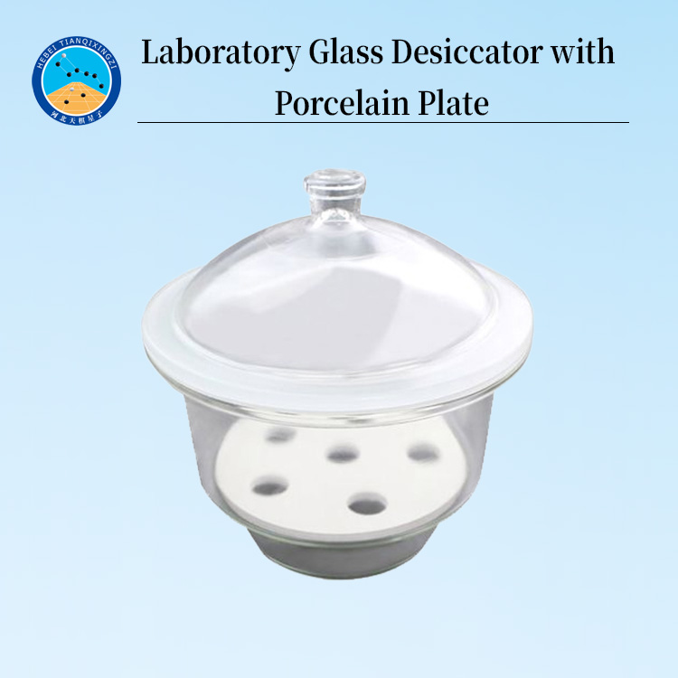 Laboratory Glass Desiccator with Porcelain Plate